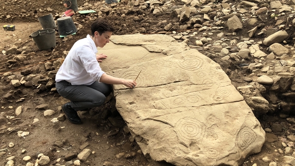 The find was made It was made during an excavation carried out by the agri-technology company Devenish in partnership with UCD School of Archaeology