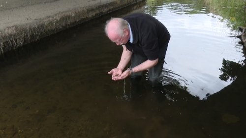 14,749 fish were believed to have been killed, including an estimated 10,500 lamprey, which is a protected species