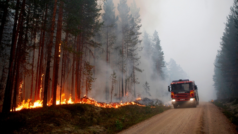 Wildfires are burning in forests in many parts of Sweden