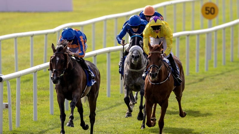 Sea Of Class was at the back of the field but produced late on