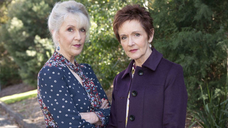 Liz and Susan are at odds