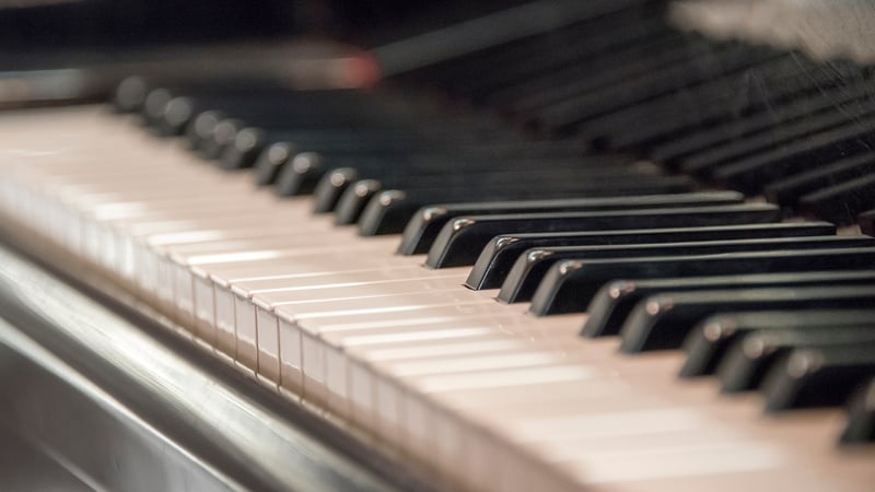 Those working in the industry say the outlook is bleak unless urgent supports are put in place