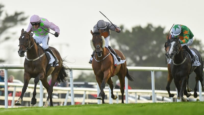 Riven Light claimed the Mile Handicap for the second year running in Ballybrit