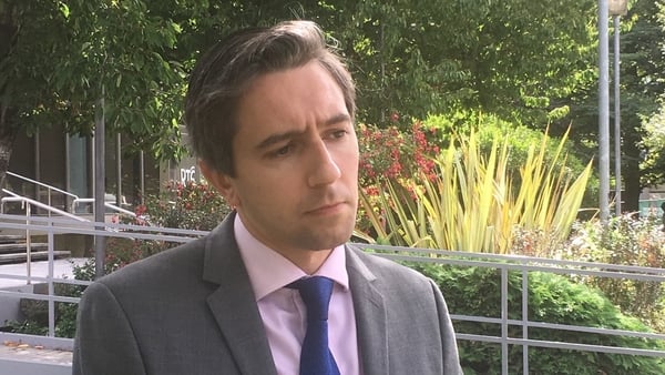 Simon Harris said he will look specifically at two areas of the legislation