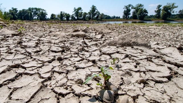 The partly dried out bed of the River Danube in Mariaposching, southern Germany