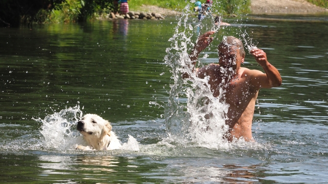 A man and his dog cool off in the Le Tech river in Ortaffa, near the city of Elne, southwestern France