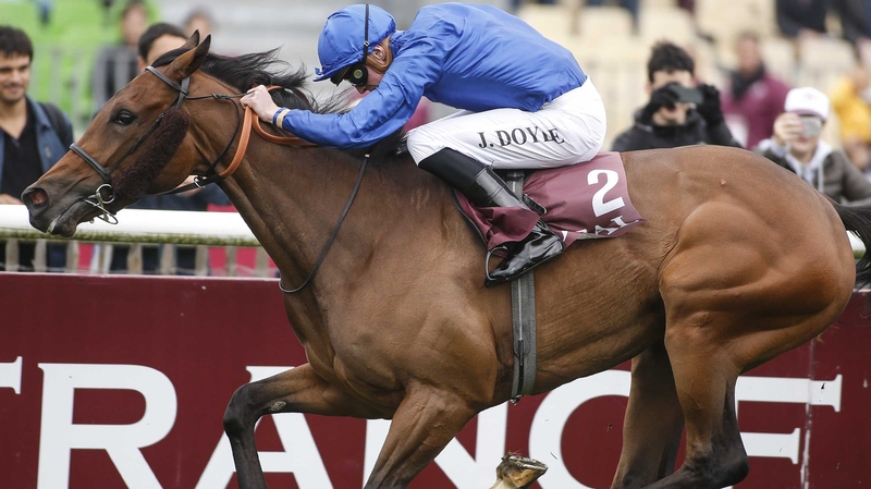 Wild Illusion impressed at Goodwood