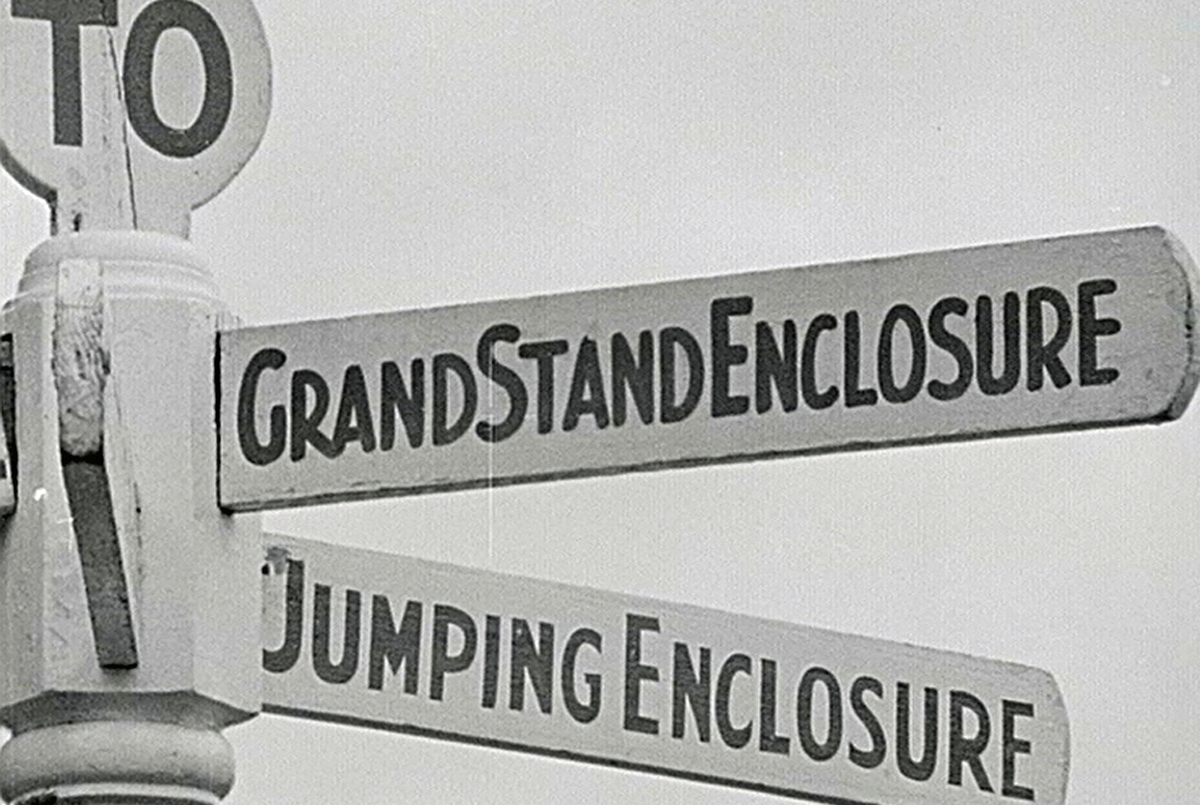 European Championships, Irish hockey and showjumping