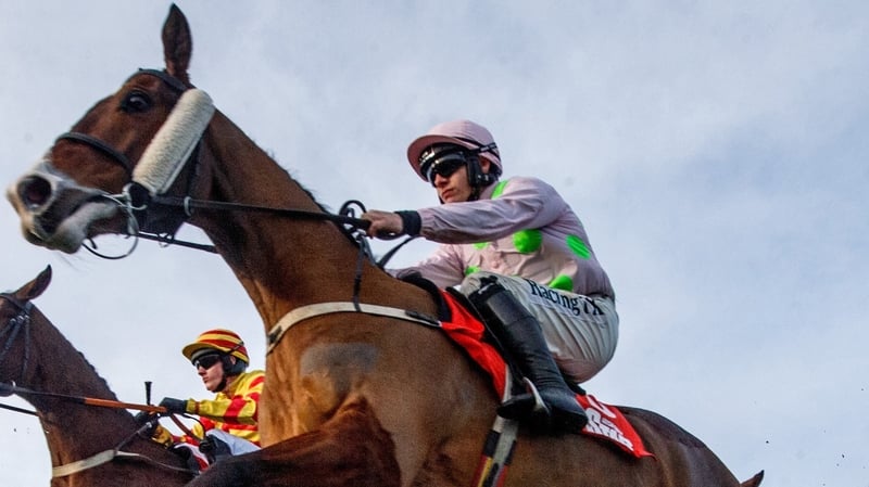 Low Sun delivered for Willie Mullins