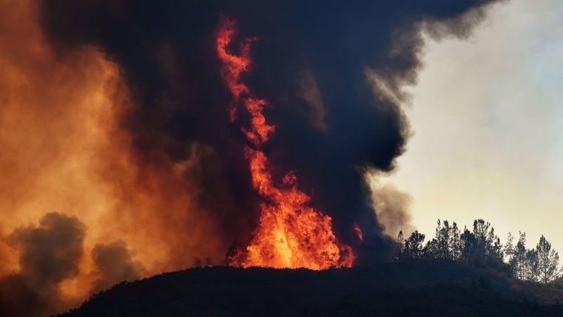 So far this year US fires have burned five million acres