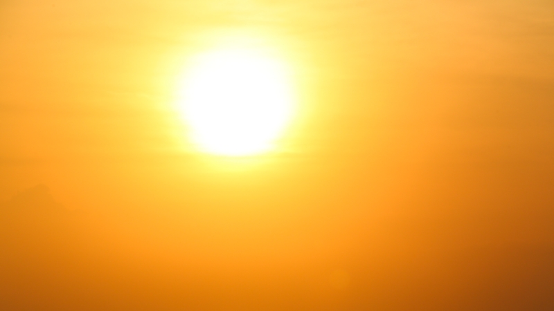 Hostelworld said the unusually hot weather in Europe this summer has led to a softening of bookings