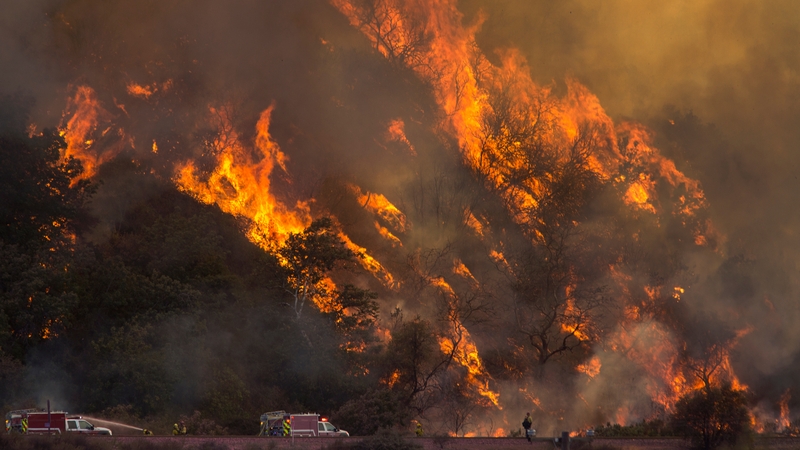 Thousands of firefighters have been tackling wildfires across the state