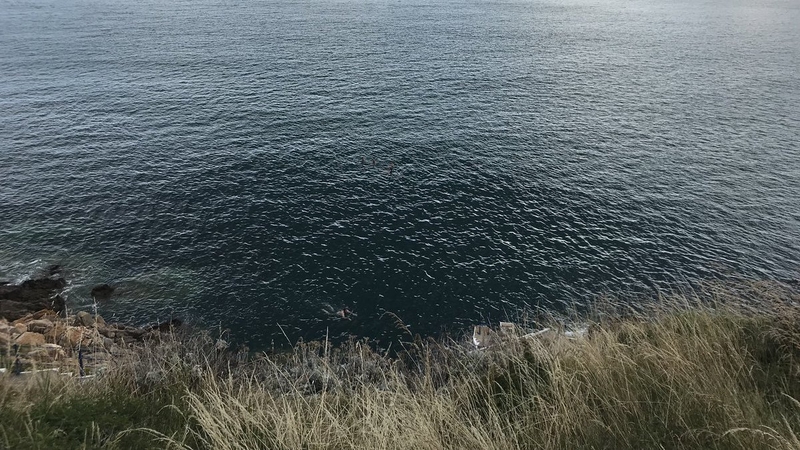The bathing area at Hawk Cliff is known for being a naturist-friendly bathing area