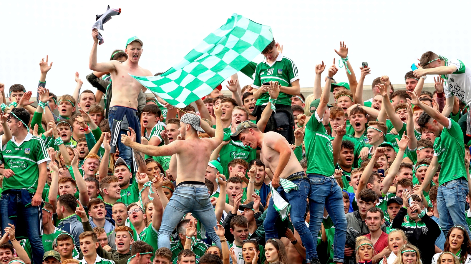 Limerick's supporters have made themselves seen and heard all year