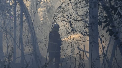 Almost 650 firefighters are battling the blazes