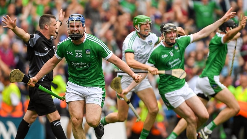 Limerick players celebrate at final whistle