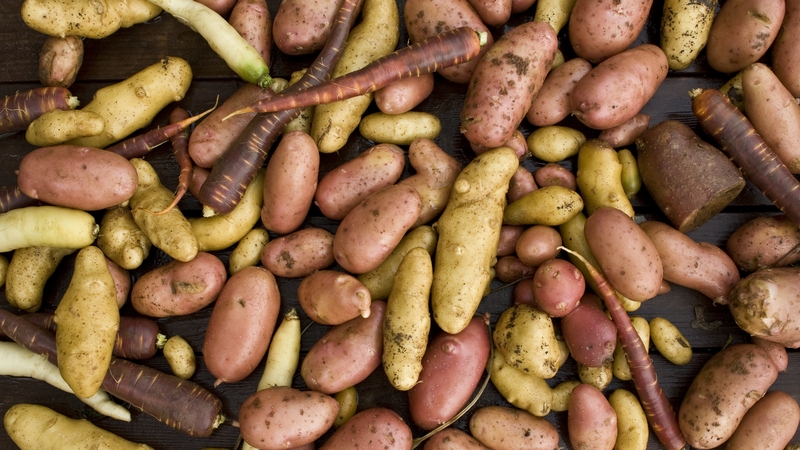 Ireland's imports included 72,000 tonnes of potatoes