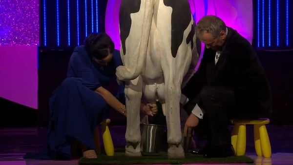 Holy cow!