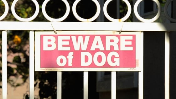 Beware of Dog
Getty Images 161597511