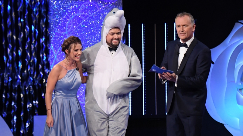 Dolphin fun on the Rose of Tralee
