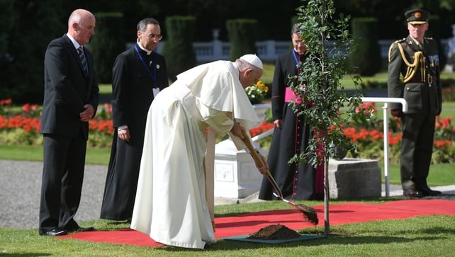 Pope Francis plants a tree in the garden of Áras an Uachtaráin. Pope John Paul II also planted a tree in the garden during his visit in 1979.