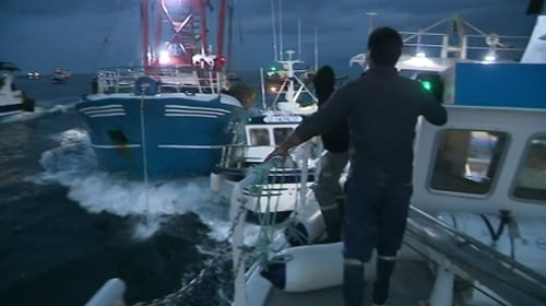 French vessels confronted British boats early yesterday morning