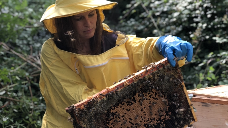 Research was led by PhD student Saorla Kavanagh at DCU School of Chemical Sciences