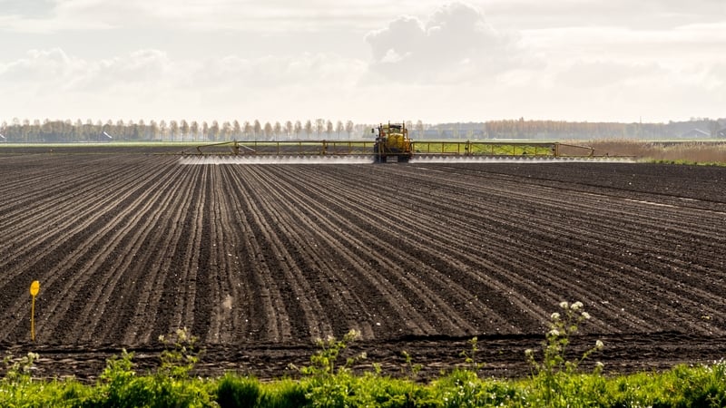 "Since GM crops cause the loss of wildlife, it can be suggested that they are not safe." Photo: iStock