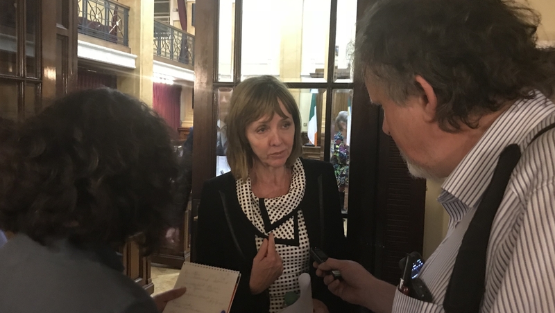 Senator Joan Freeman was endorsed following a meeting of Cork City Council tonight