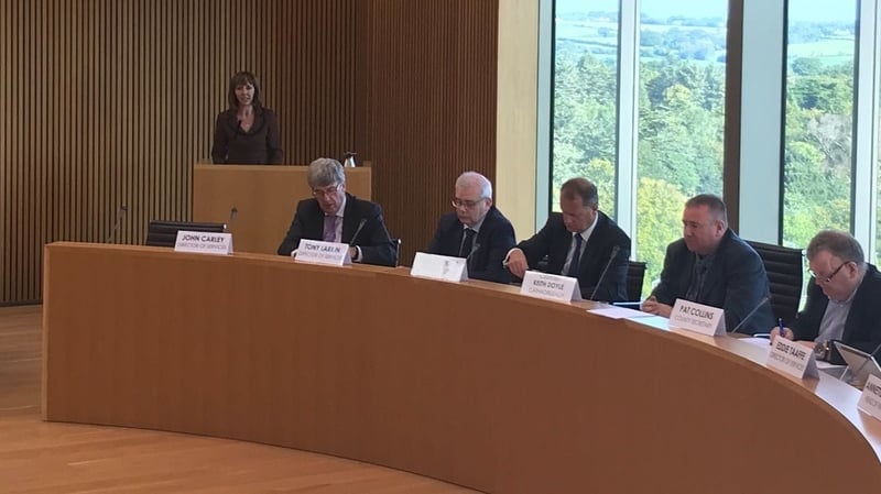 Joan Freeman was the first to address Wexford Council