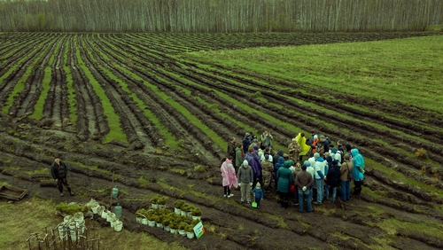 "The work carried out by volunteers in every town and village across Ireland is fundamental to the mainstay of rural Ireland". Photo: iStock