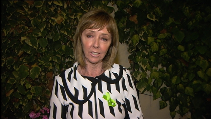 Joan Freeman will launch her election campaign at noon tomorrow in Dublin