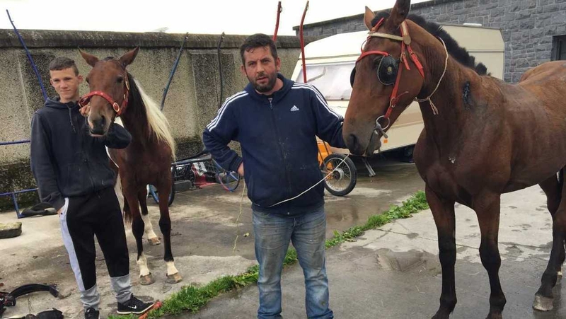 There are now nearly 4,500 Traveller families living in overcrowded halting sites and housing units around Ireland