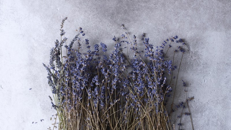 Not getting enough sleep is one of life's cruelties.