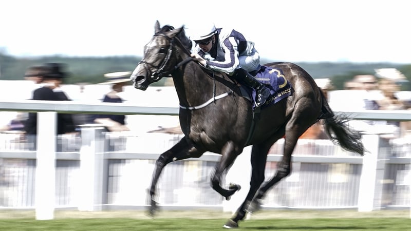 Colm O'Donoghue riding Alpha Centauri to win The Coronation Stakes at Ascot