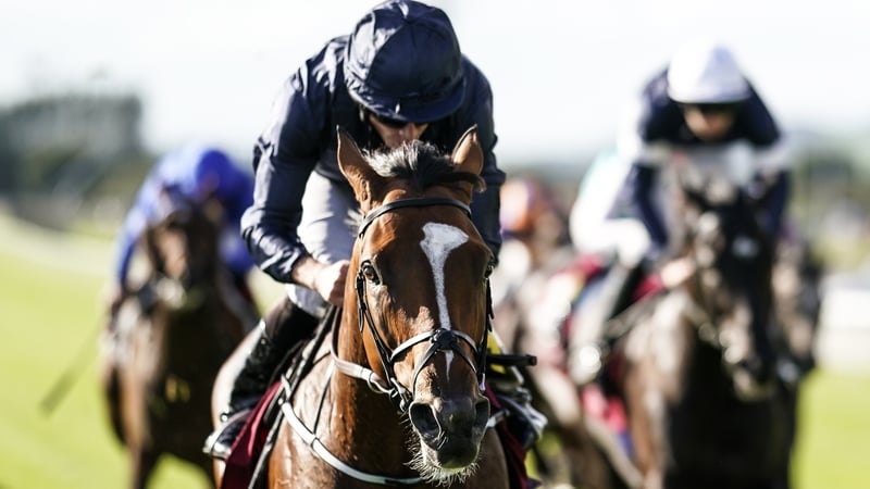 Ryan Moore riding Flag Of Honour to victory in the Irish St Leger