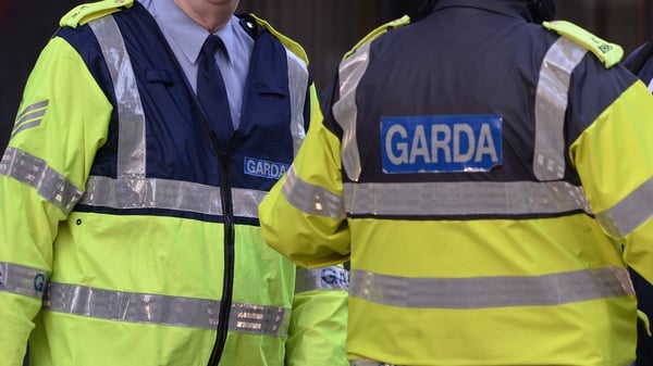 Gardaí at Santry Garda Station are investigating the theft