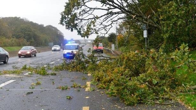 Branches blocked traffic on the Ballyboggan road in Dublin (Pic: Garda Traffic)