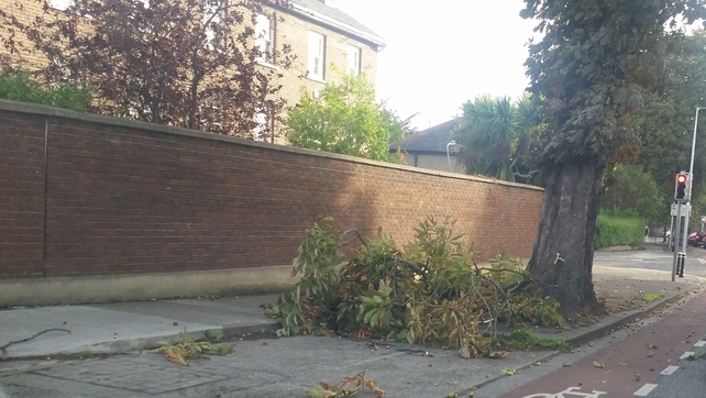 Pedestrians also need to be wary of the chance of falling branches in the high winds
