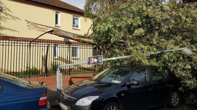A street light was broken by a falling branch in Ringsend, Dublin