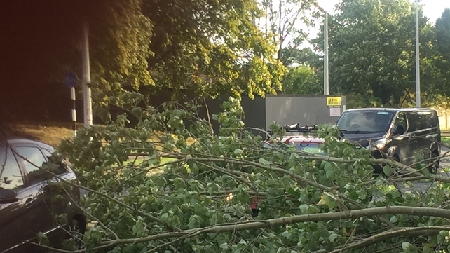 The Stillorgan Road in Dublin has been blocked at various points due to fallen trees and branches
