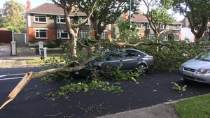 A driver had a narrow escape from a falling tree on Griffith Avenue in Dublin