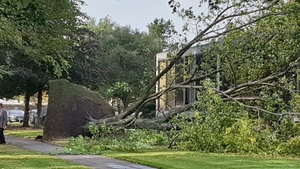 A tree came down on the RTÉ campus due to the high winds