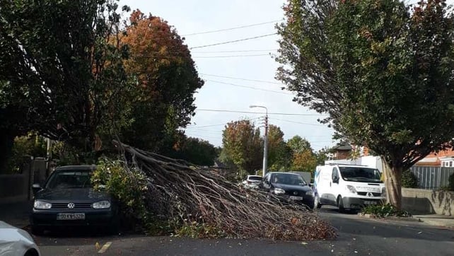 Branches in a residential area in Clonskeagh, Dublin, narrowly miss parked vehicles when they fell
