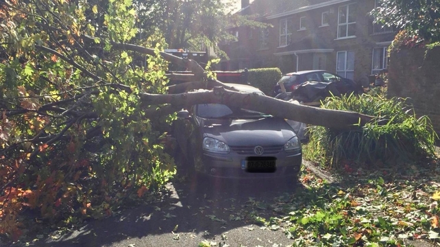 Some cars in Blackrock in Dublin were not so lucky
