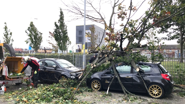 A tree has fallen onto a car in Belfast as Storm Ali moves northwards