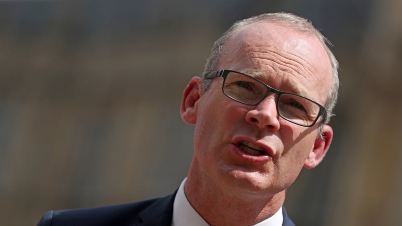 Simon Coveney Irish challenges and vulnerabilities on Brexit are being seen as EU challenges
