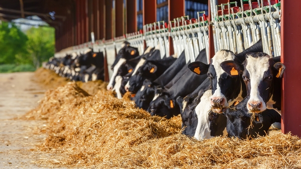 "It is important to understand farmers' views on adaptation of rural and agricultural areas as they are the central decision-makers with respect to making their farm more resilient or adaptive to the effects of climate change."