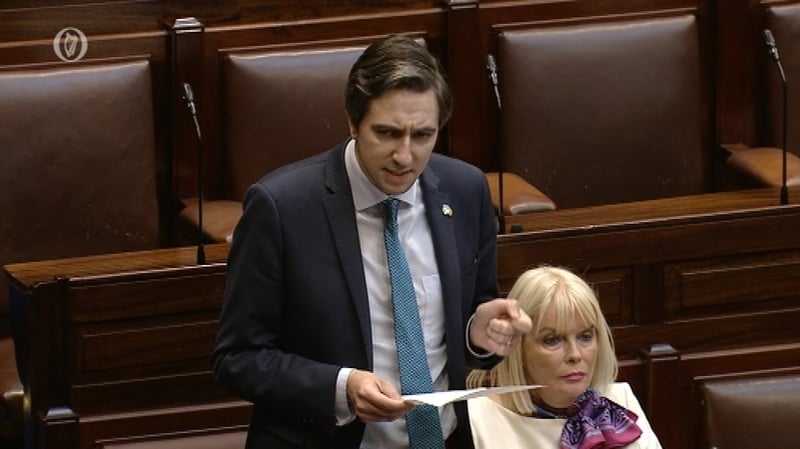 Simon Harris was speaking during Dáil statements on the Scally Report