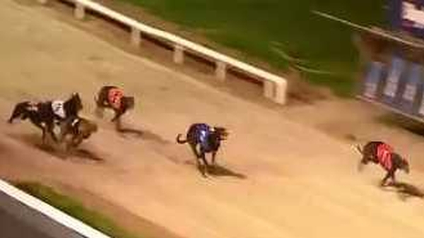 Ballyanne Sim, in the red vest, wins the Derby final